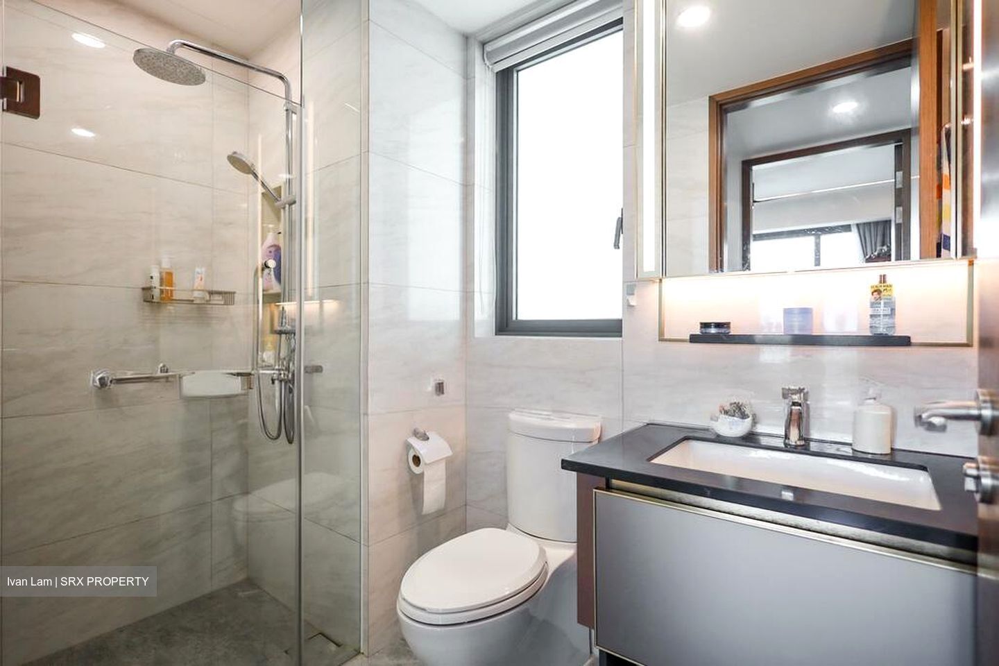 Normanton Park (D5), Apartment #503992051